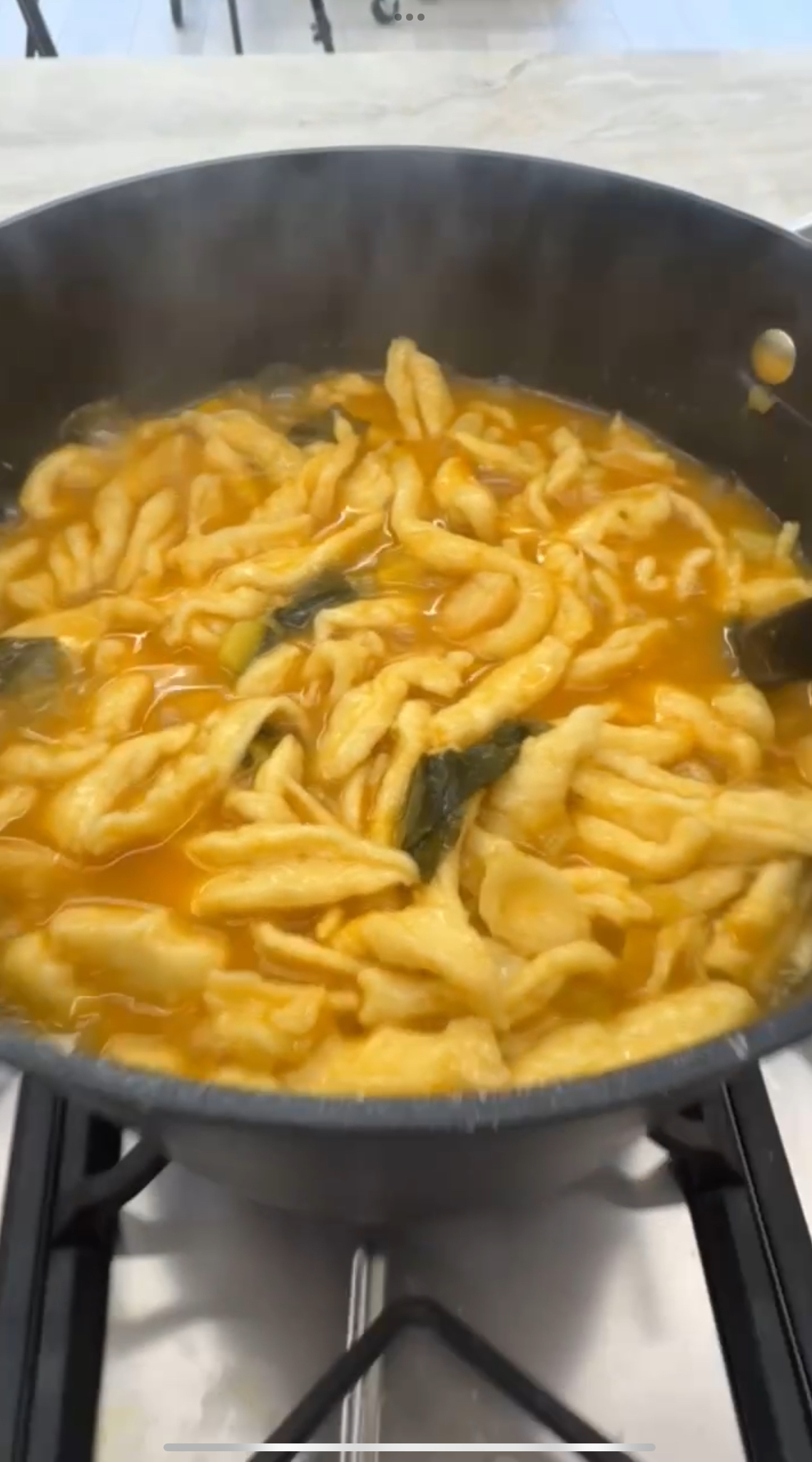 VEGGIE SOUP w/or w/out dumplings 