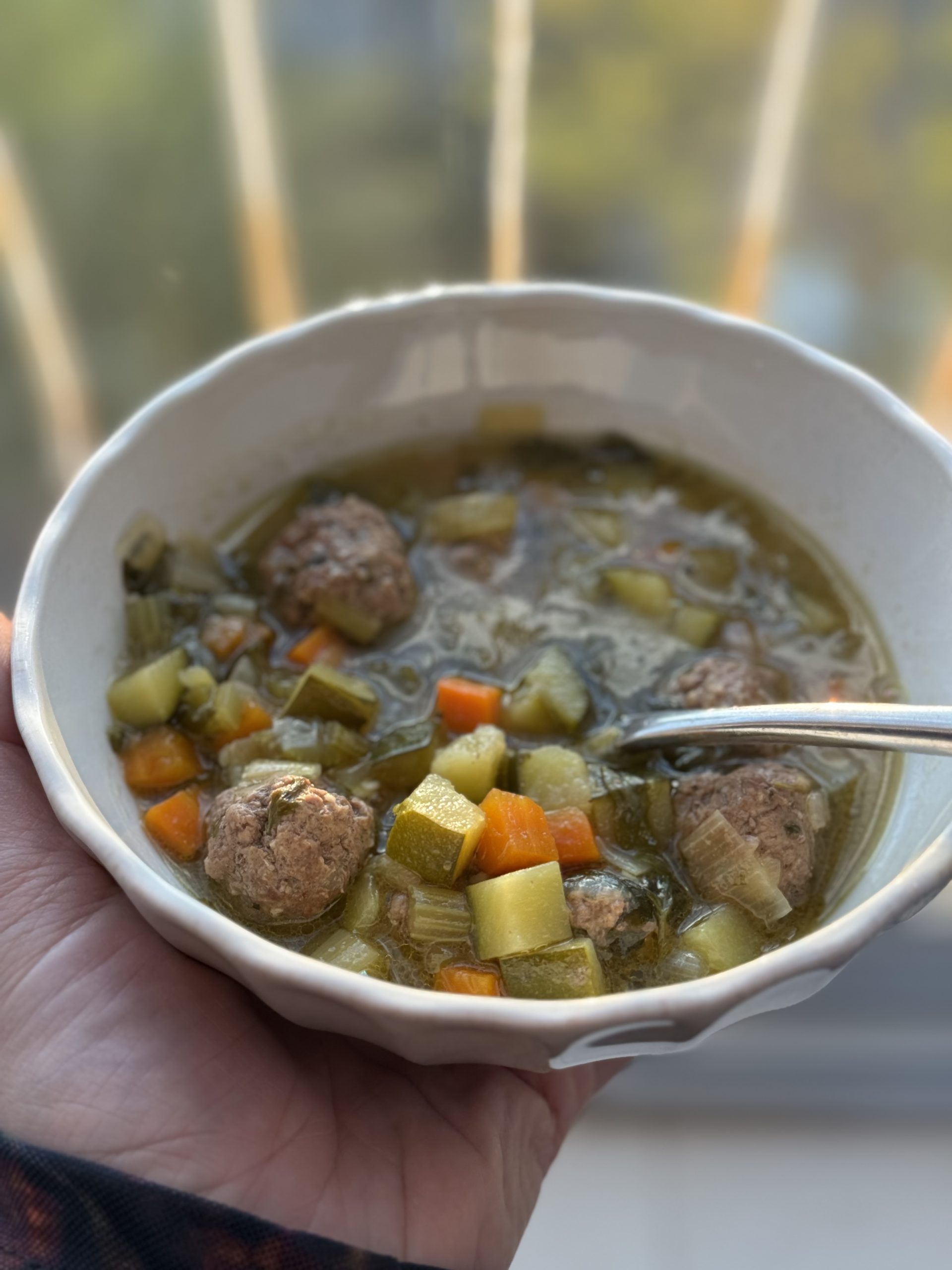 MEATBALL SOUP