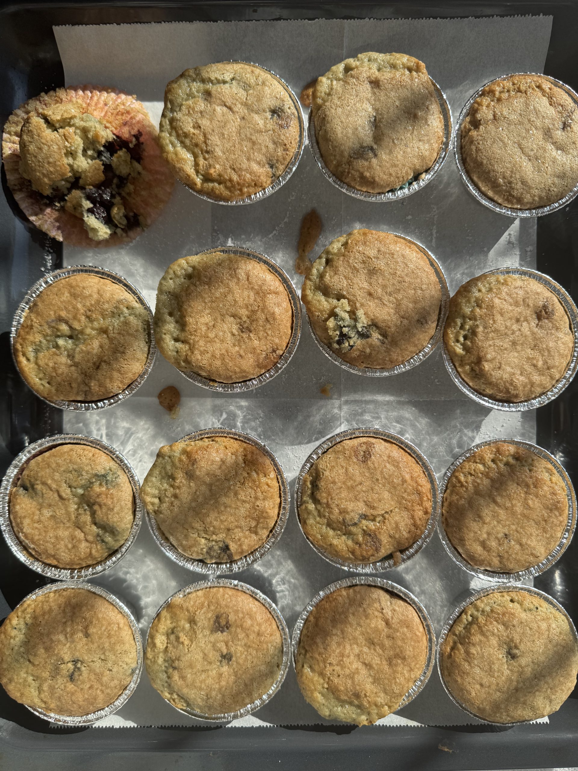 GLUTEN FREE MUFFIN MAN MUFFINS